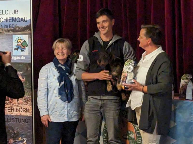 Schönster Rauhaardackel